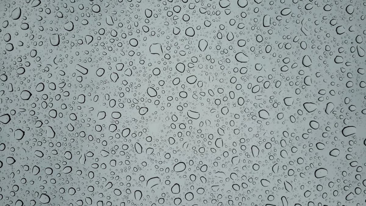 Detailed macro image capturing various water droplets on a glass surface, showcasing texture.