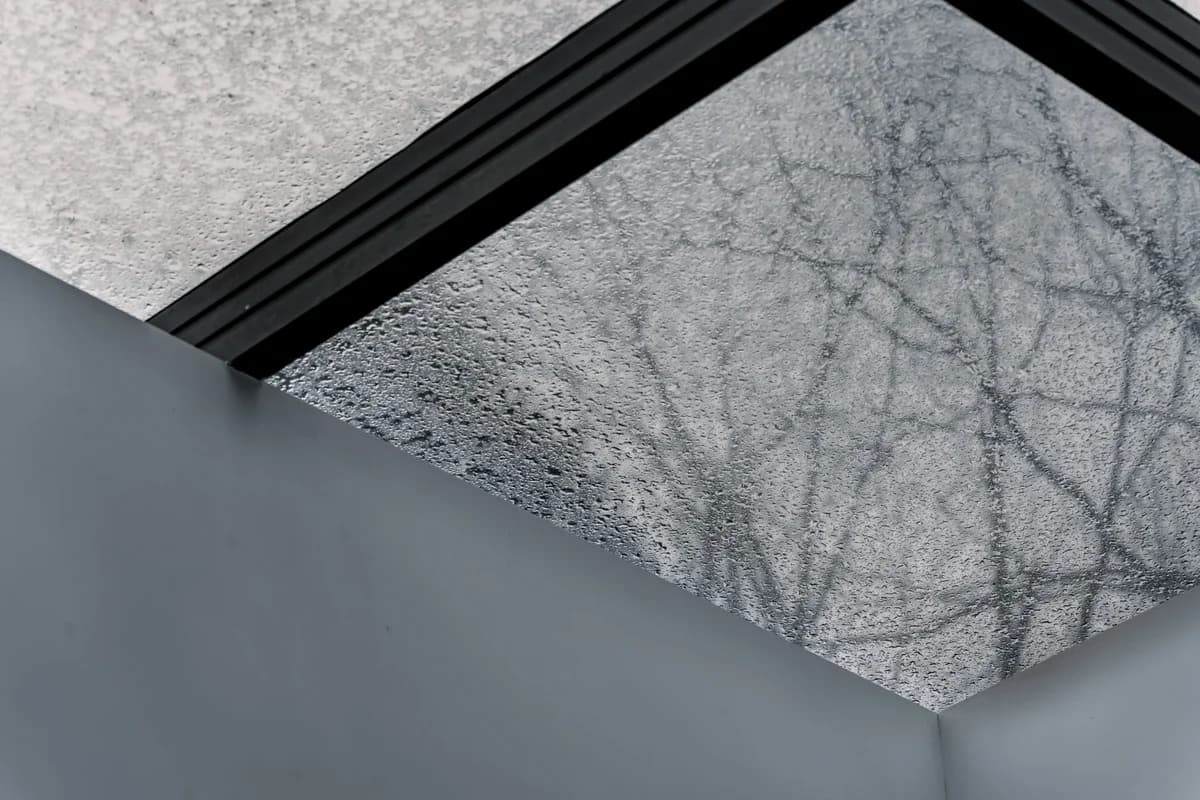A geometric composition featuring a frosted glass roof panel with visible tree branch patterns.