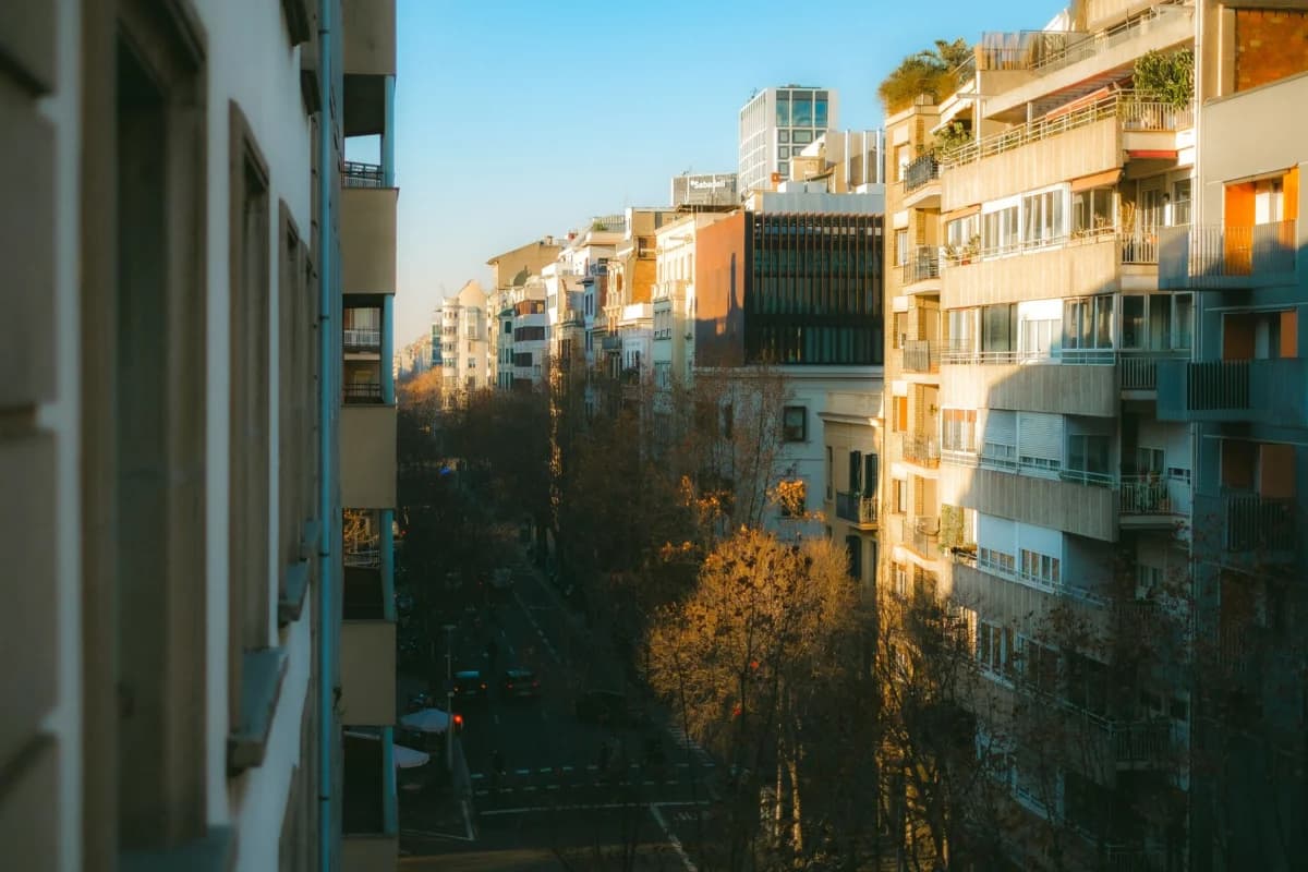 Urban street with modern buildings at sunset