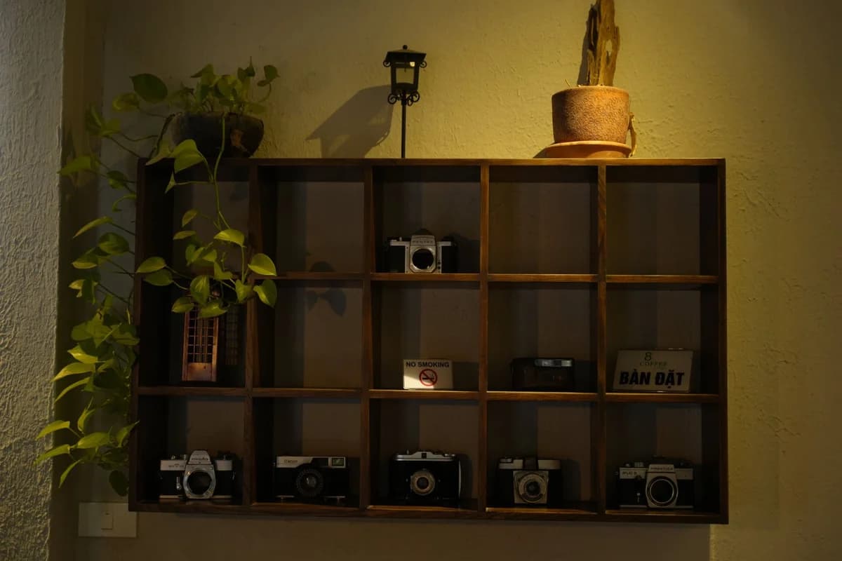 Wooden shelf with vintage cameras, plants, and decor, creating a classic ambiance.