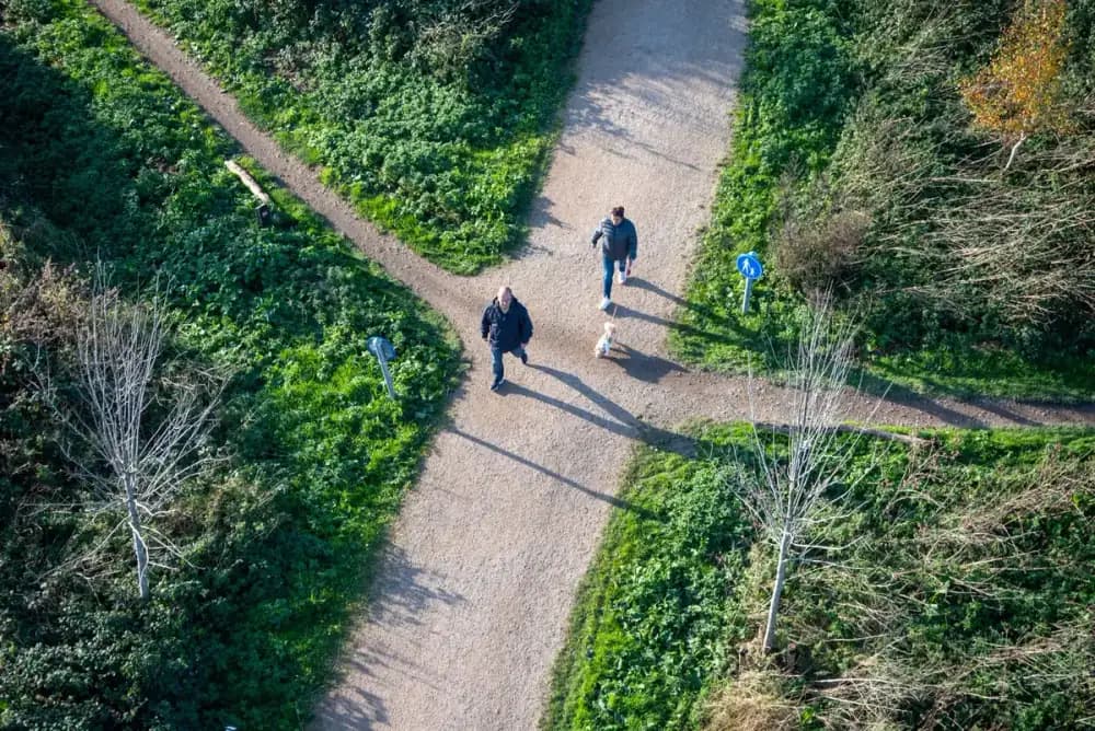 Aerial photo of two people walking with a dog on a scenic nature trail.