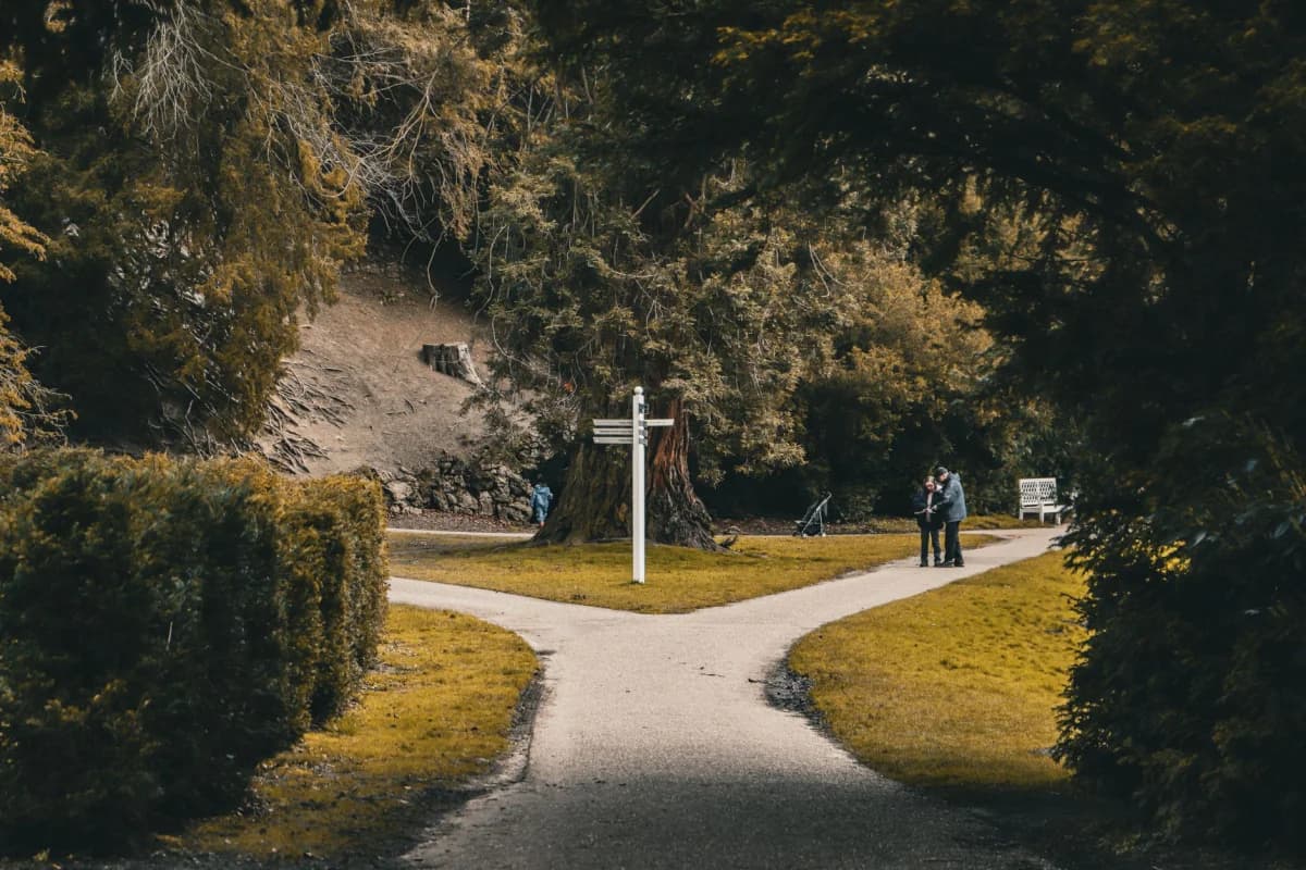 Park path splitting into two directions
