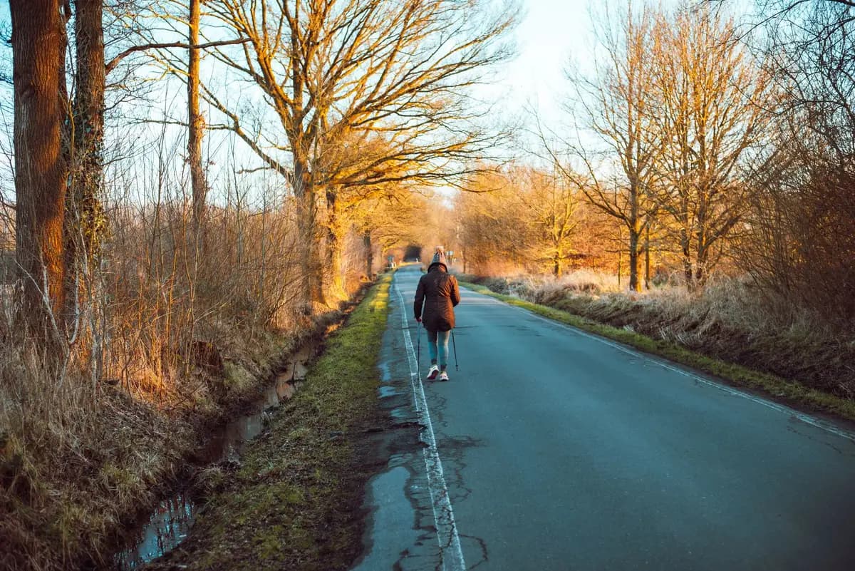 A lone person walking on a quiet countryside road surrounded by bare trees.