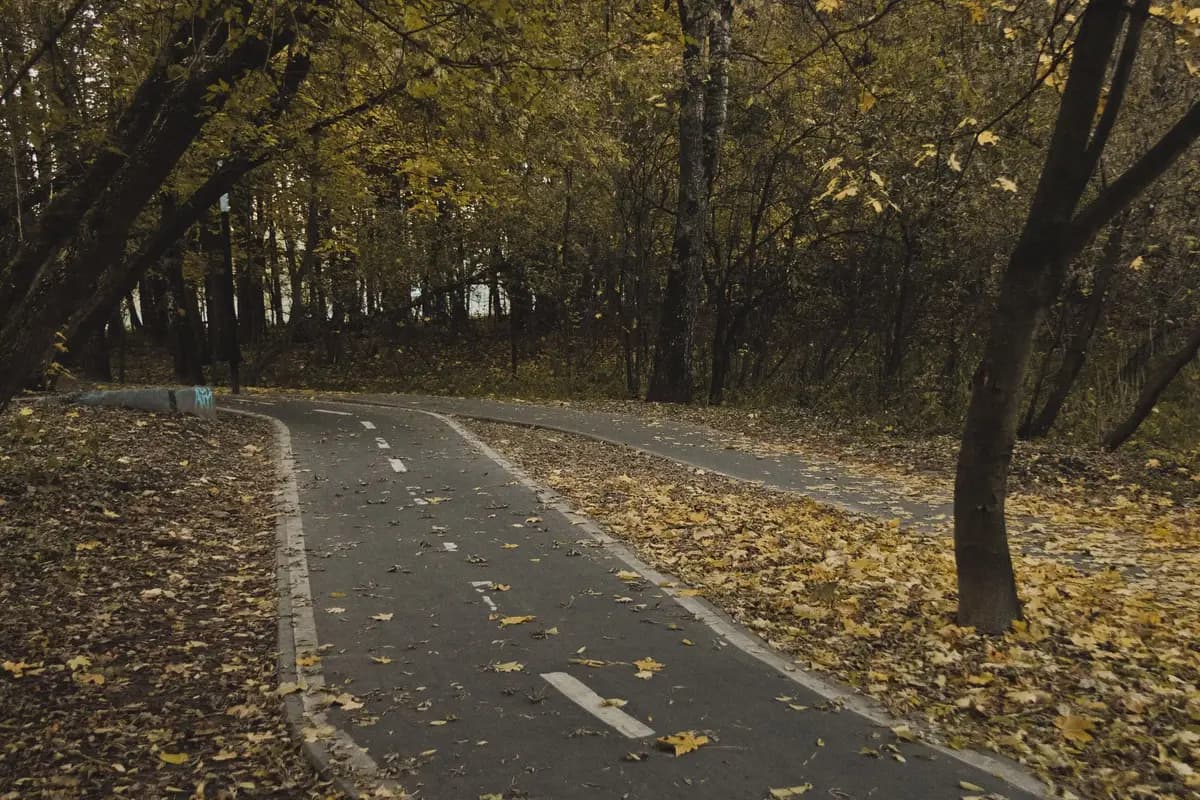 A serene autumn pathway covered with fallen leaves in a peaceful park setting.