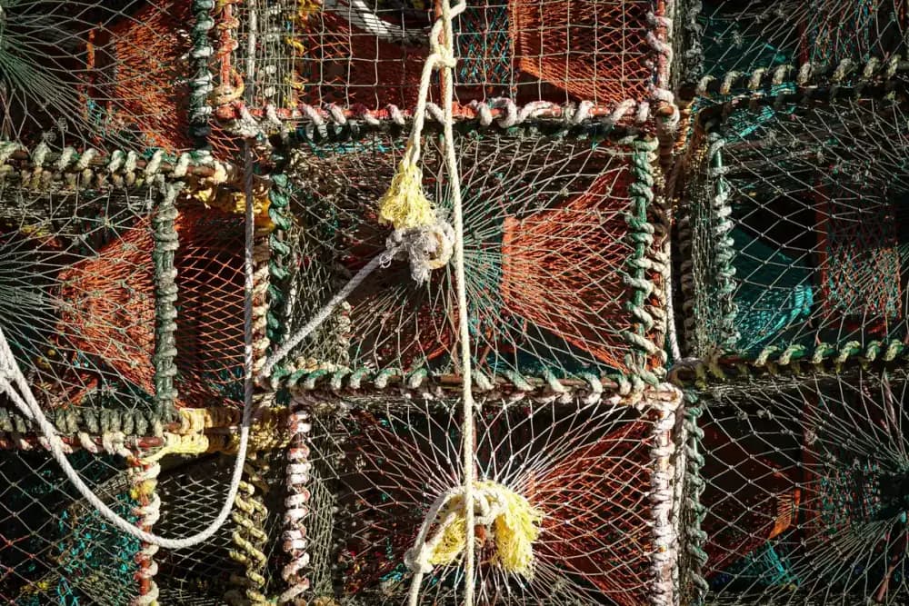 Close-up view of fishing nets and ropes, showcasing intricate patterns and vibrant colors.
